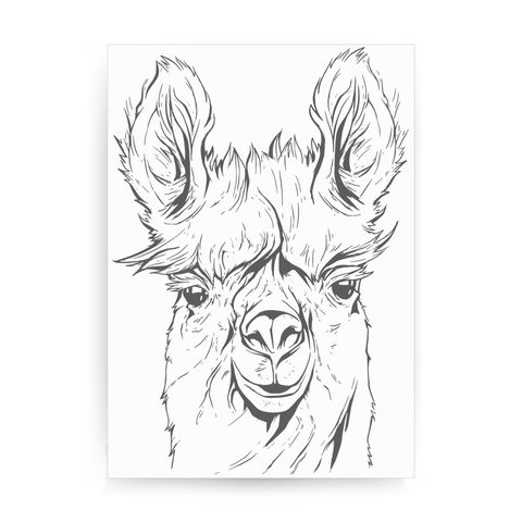 Llama line art print poster wall art decor - Graphic Gear