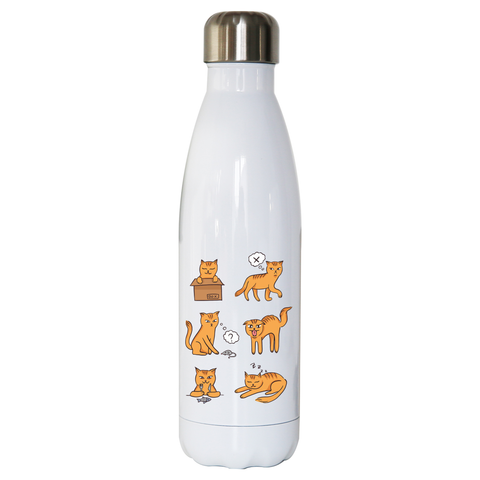 Cat moods water bottle stainless steel reusable - Graphic Gear
