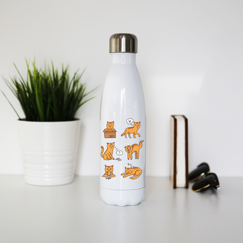 Cat moods water bottle stainless steel reusable - Graphic Gear