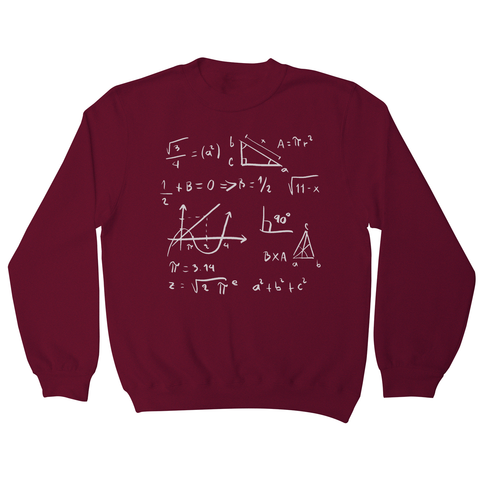 Math formulas sweatshirt - Graphic Gear