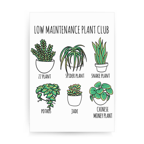 Low maintenance plants print poster wall art decor - Graphic Gear
