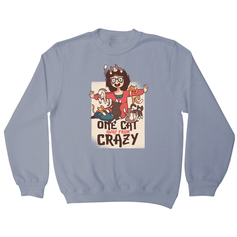 Crazy cat lady sweatshirt - Graphic Gear