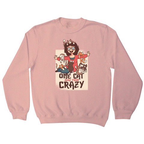 Crazy cat lady sweatshirt - Graphic Gear
