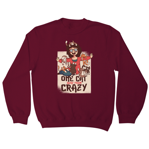 Crazy cat lady sweatshirt - Graphic Gear