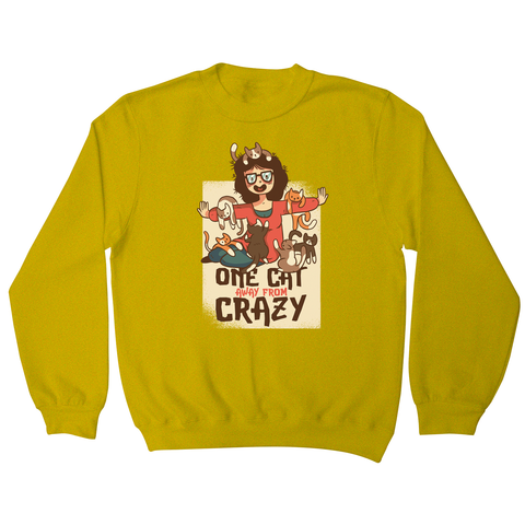 Crazy cat lady sweatshirt - Graphic Gear