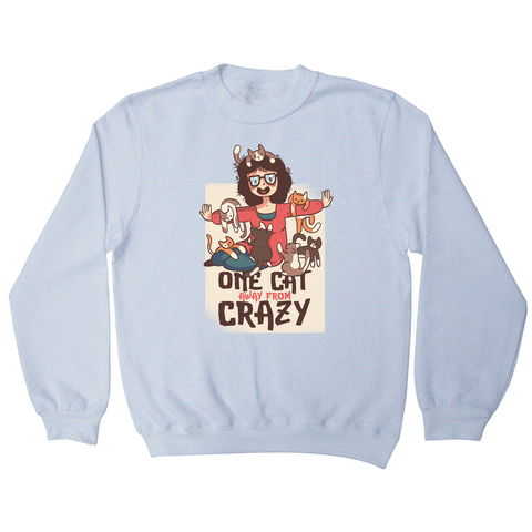 Crazy cat lady sweatshirt - Graphic Gear