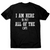 I am here to pet all of the cats funny t-shirt men's - Graphic Gear