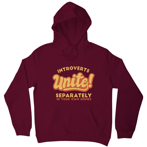 Introverts funny quote hoodie Burgundy
